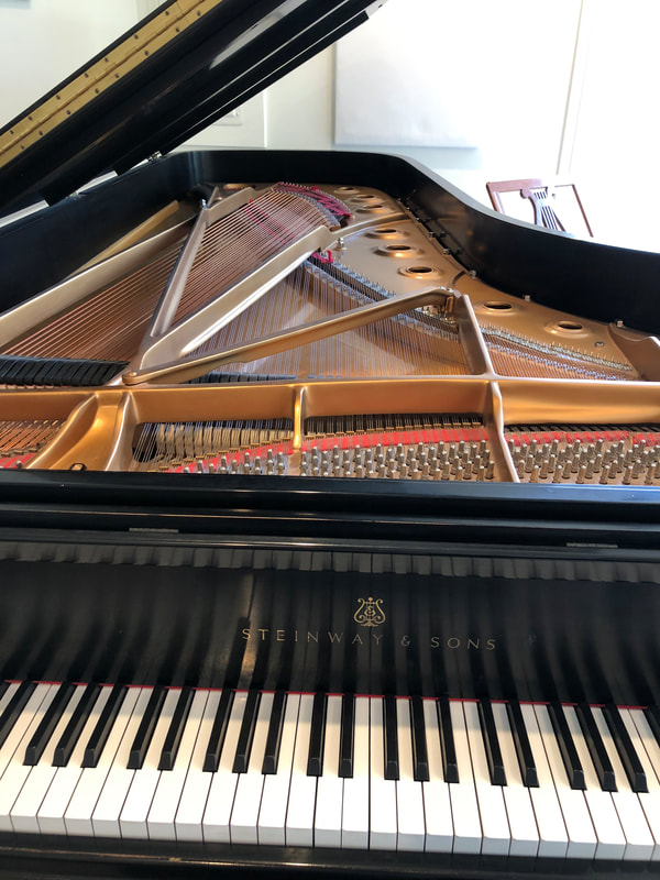 Joseph Irrera Piano Studio, Steinway D, Concert Grand
